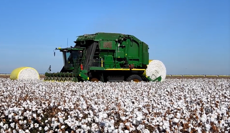 Cotton Purchase and Processing